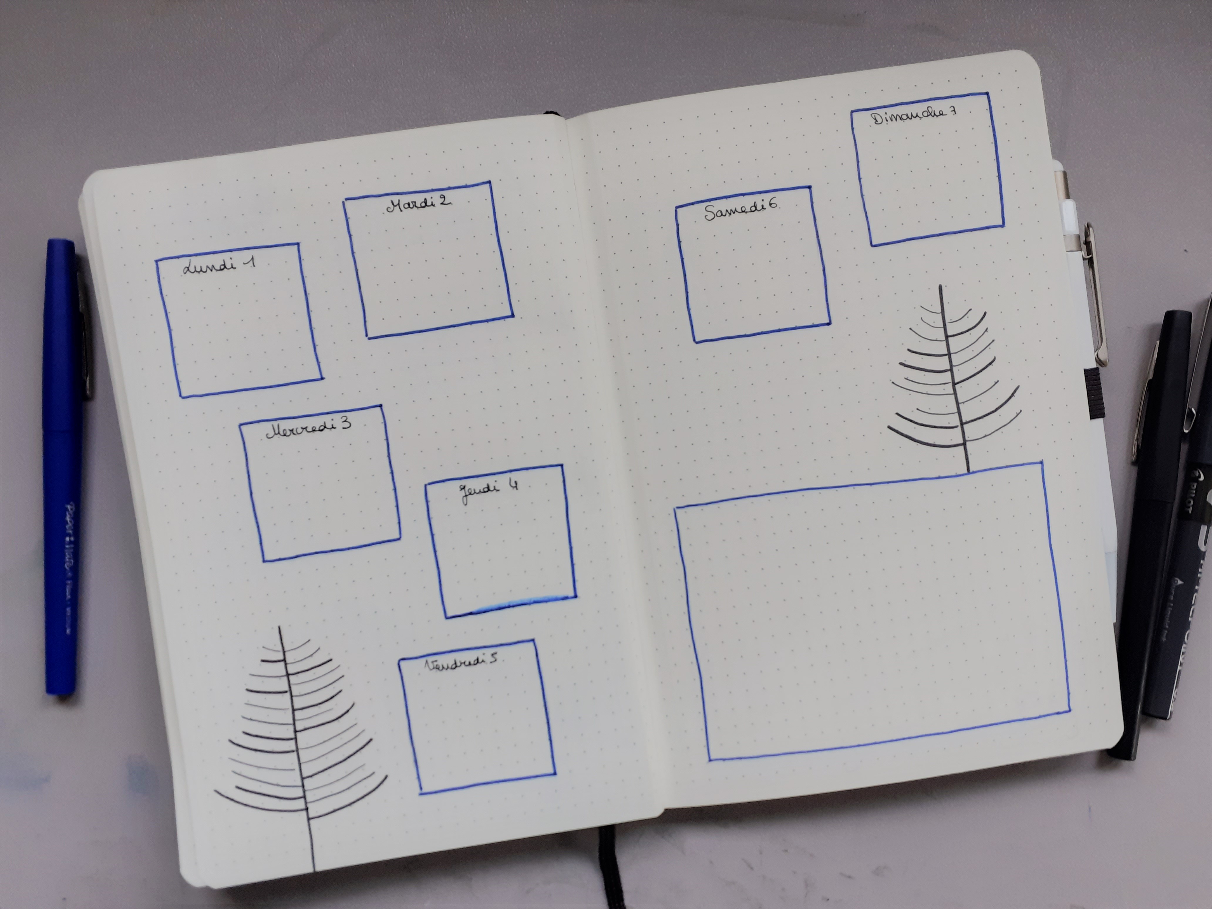 Organisation de la semaine